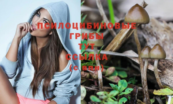 МДМА Медвежьегорск