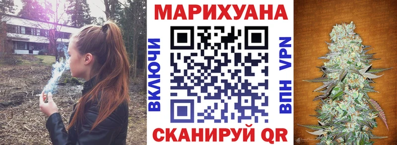 Бошки Шишки планчик Пучеж